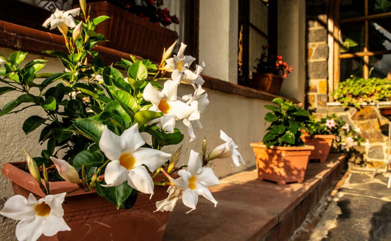 Hostal Montserrat Montseny Dış mekan fotoğraf