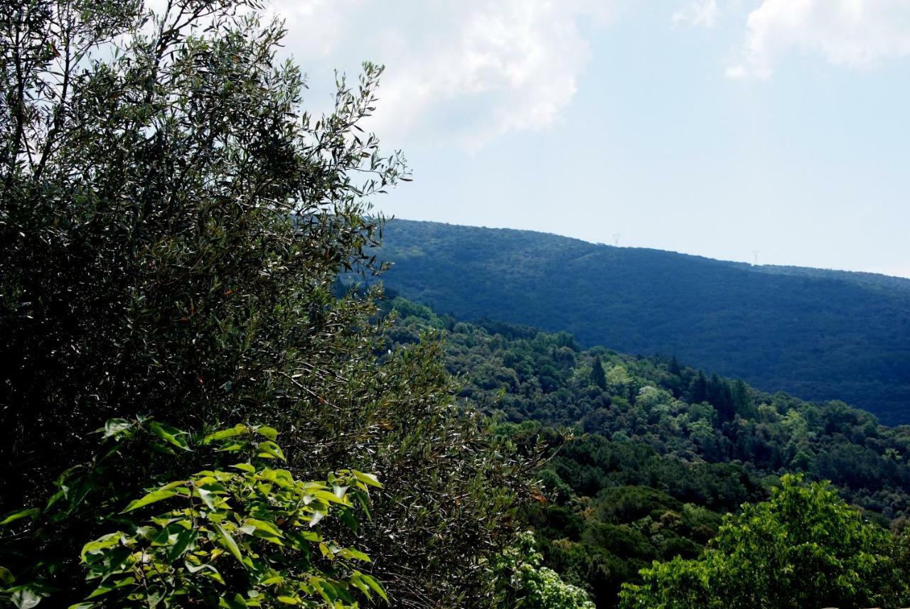 Hostal Montserrat Montseny Dış mekan fotoğraf