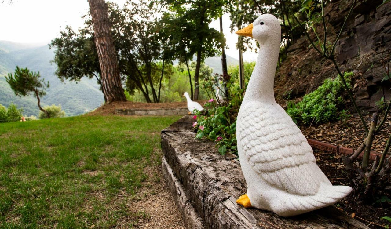 Hostal Montserrat Montseny Dış mekan fotoğraf