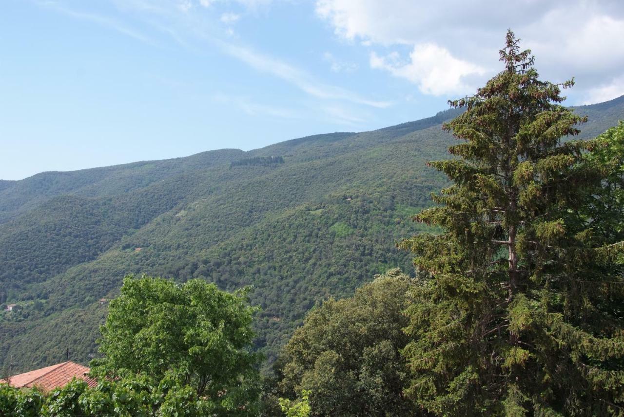 Hostal Montserrat Montseny Dış mekan fotoğraf