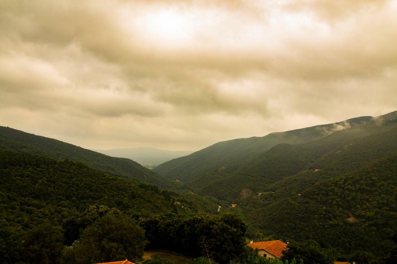 Hostal Montserrat Montseny Dış mekan fotoğraf